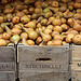 pears