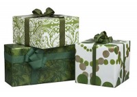 cb-holiday-gift-wrap-green